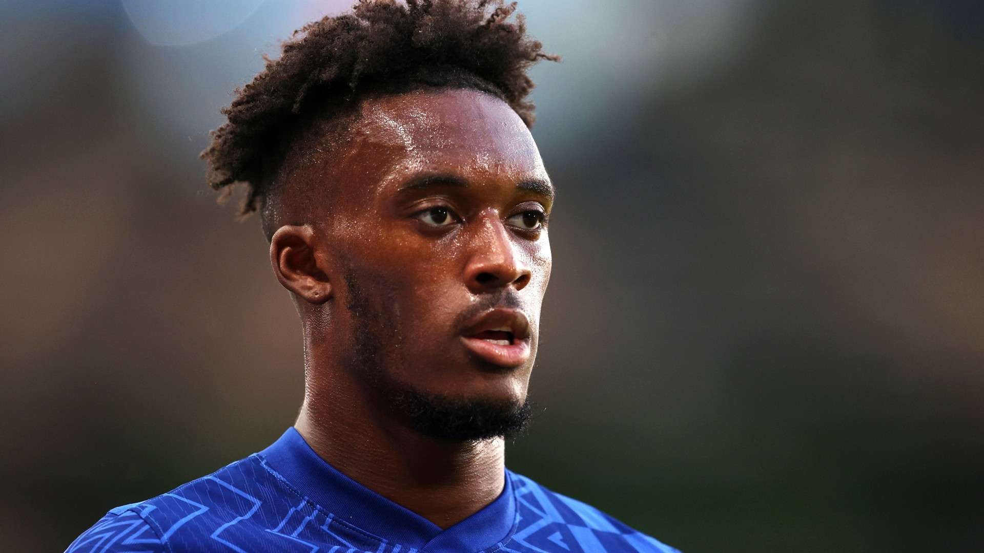 荷兰队本场 荷兰队本场