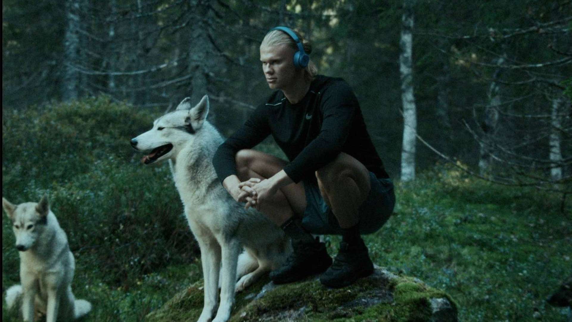 屡创佳绩 屡创佳绩